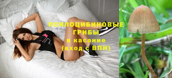 mdpv Кодинск