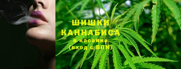 mdpv Кодинск
