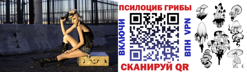 Галлюциногенные грибы Psilocybe  Купить закладки  Сердобск 